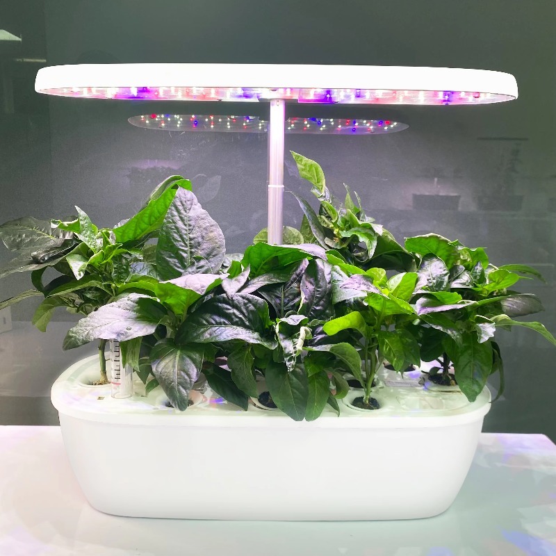 Smart Garden Design - 스마트 전자식 실내 수경 재배 정원