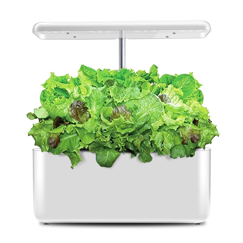 LYX-10 스마트 실내 수경재배 시스템, 현대적인 디 - Smart Garden Design 리뷰 및 가격