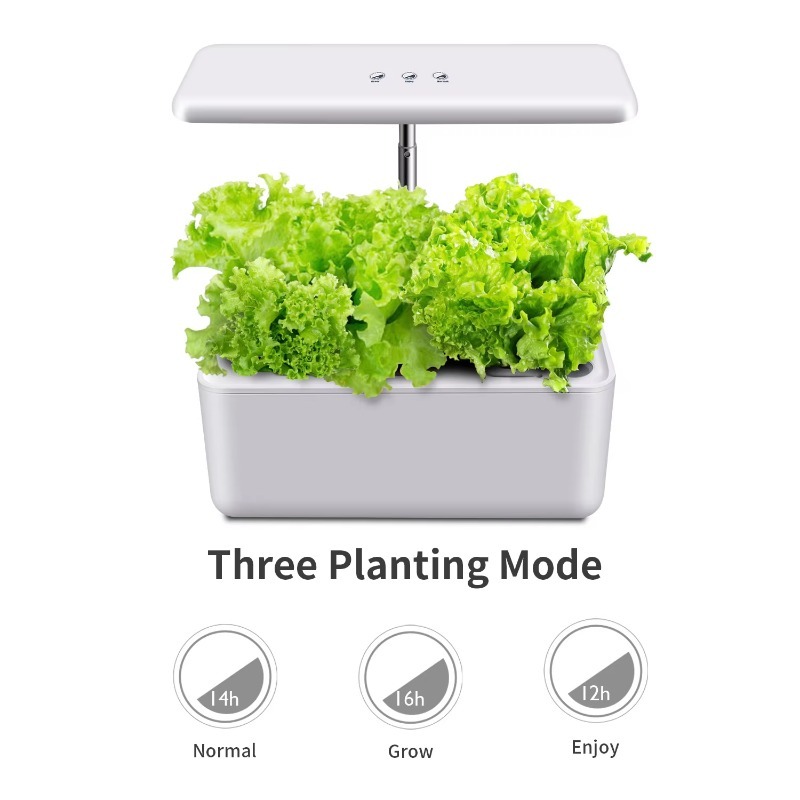 LYX-10 스마트 실내 수경재배 시스템, 현대적인 디 - Smart Garden Design 리뷰 및 가격